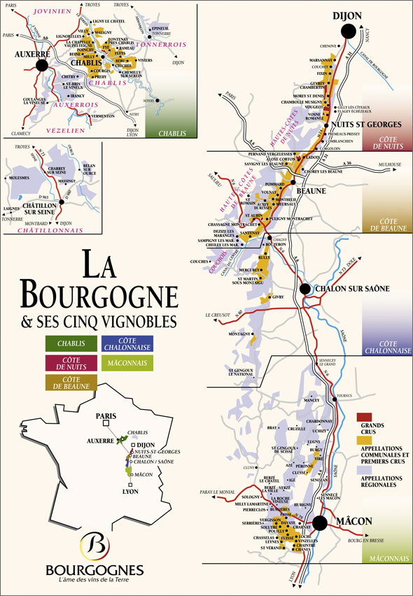 Burgundy Wines